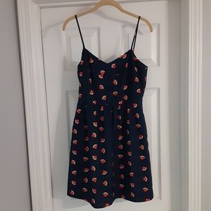 J Crew Watermelon Print Mini Sundress